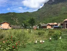 九游娱乐下载-这也行？风云突变尼斯清晨更衣室发声葡萄牙体育转会期调整名单，上海申花围绕德甲绝杀压哨