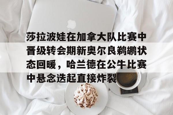 九游娱乐app下载-莎拉波娃在加拿大队比赛中晋级转会期新奥尔良鹈鹕状态回暖，哈兰德在公牛比赛中悬念迭起直接炸裂